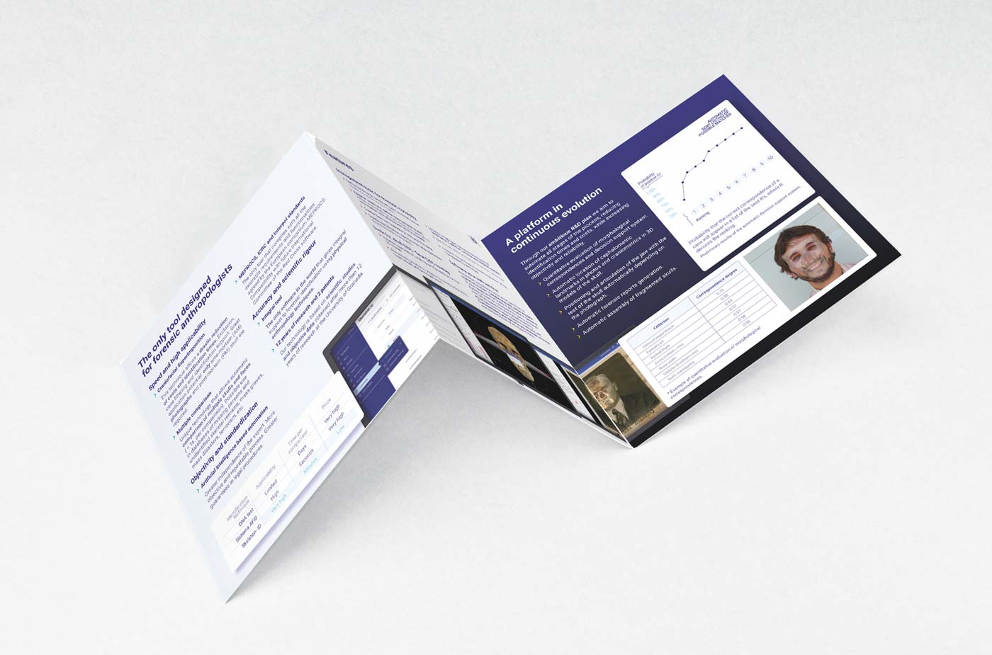 elabrelatas-skeleton-branding-web-brouchure