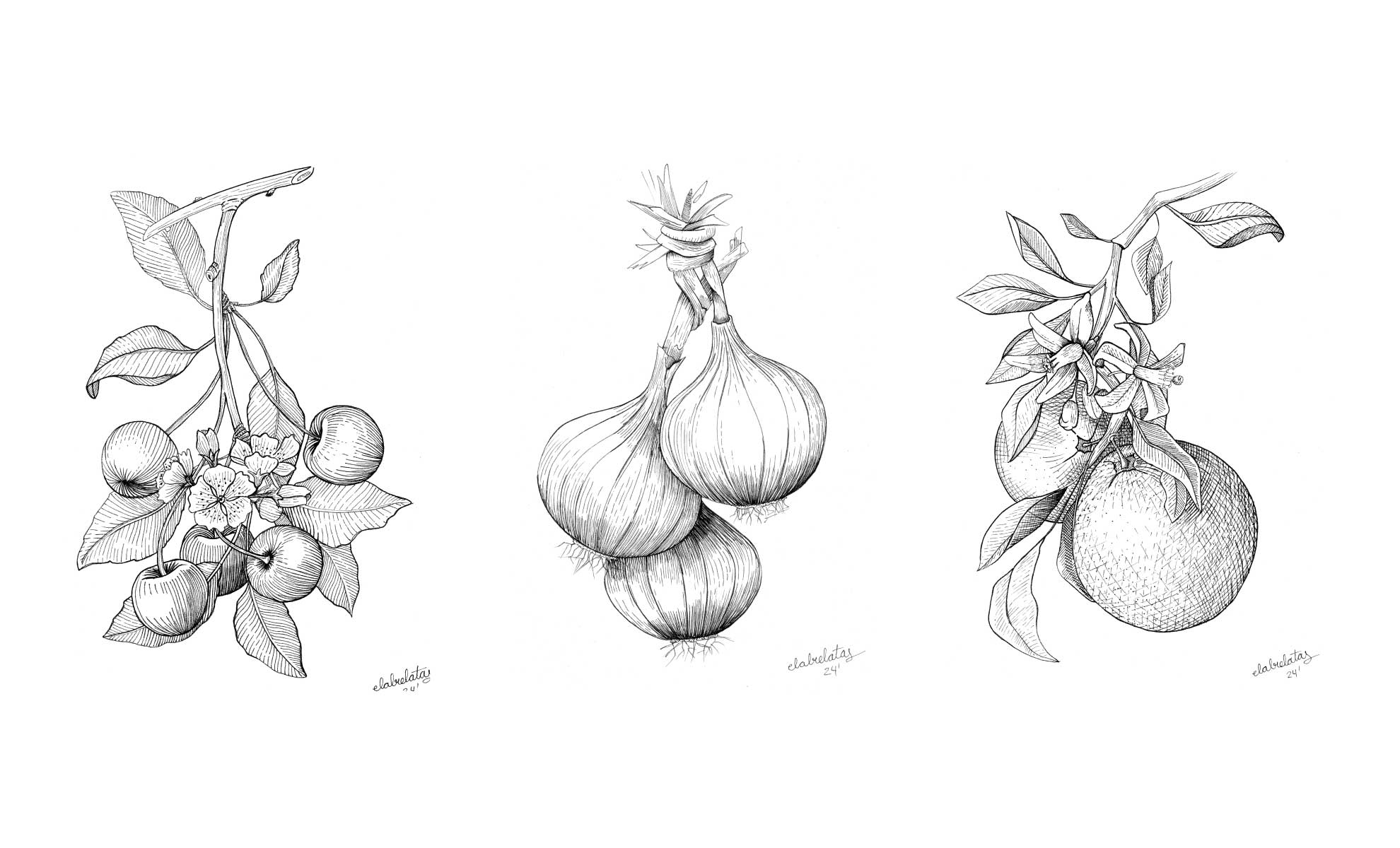 elabrelatas-valcarce-packaging-ilustracion-1