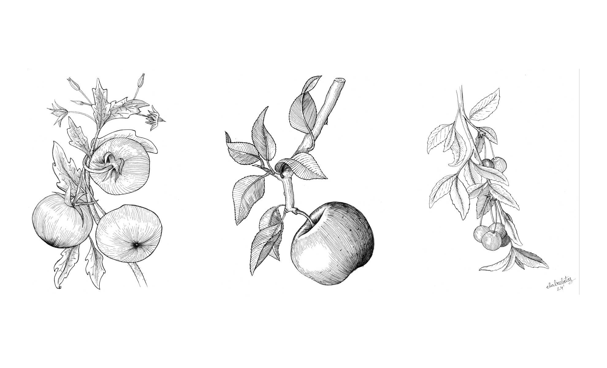 elabrelatas-valcarce-packaging-ilustracion-3